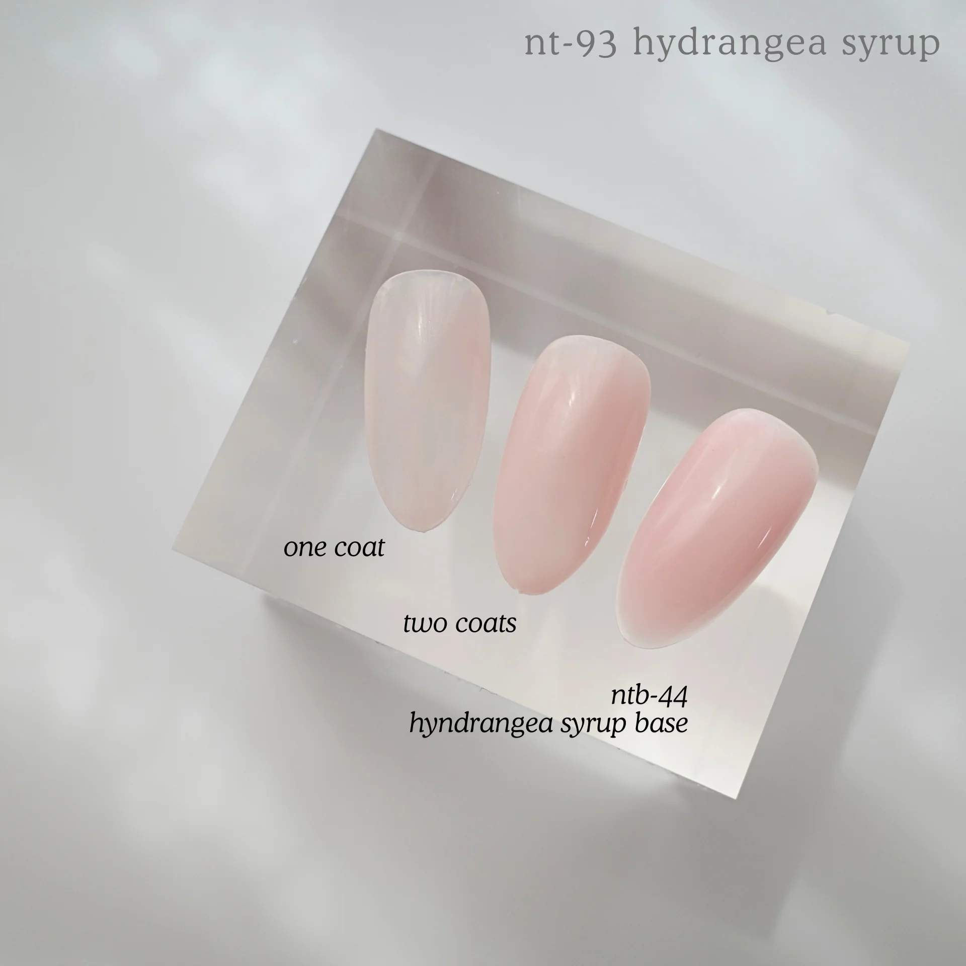 NTB-44 Hydrangea Syrup Base