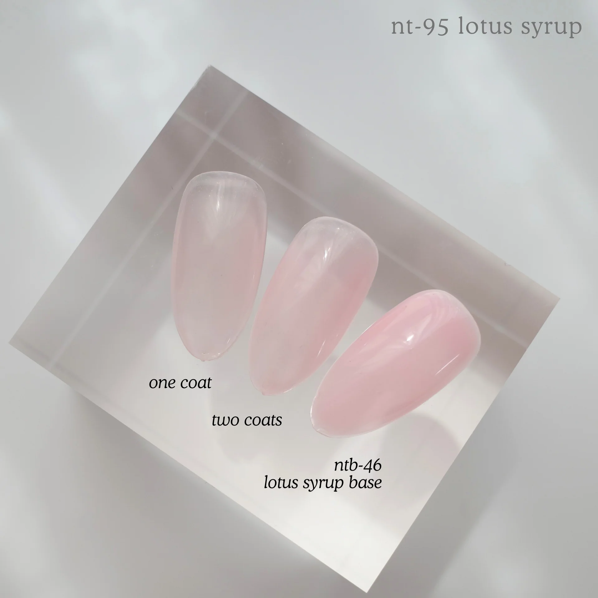 NTB-46 Lotus Syrup Base